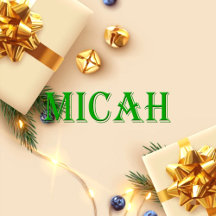 Micah Name T-Shirt