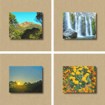 Canvas Prints