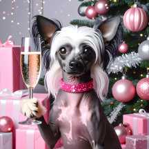 Chinese Crested Champange Christmas