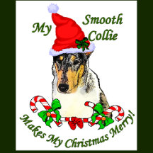 Smooth Collie Merry Christmas
