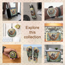 Funny sloth with sunglasses in a hammock