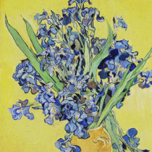 Irises (1890) 