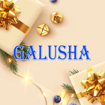 Galusha_Name T-Shirt