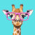 Happy Animal Studio