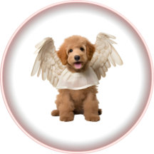 A Lil' Angel Is On The Way