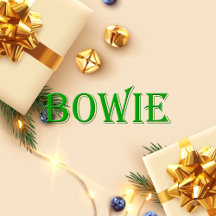 Bowie Name Shirt Bowie_collection
