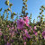 MyFloraldesigns