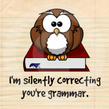 Correcting You're Grammar Owl
