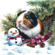 Tri-Coloured Guinea Pig And Snowman