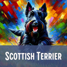 Scottish Terrier Collection