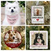 Pets Cats Dog Lovers Gifts