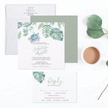 Tropical Sea Turtle Suite