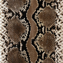 Faux Rock Python Snakeskin Collection