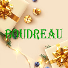 Boudreau Name Shirt Boudreau_collection