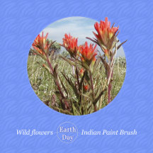 Earth Day - Indian Paint Brush Laughter