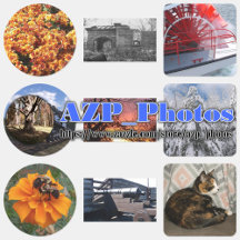 Photo Stickers