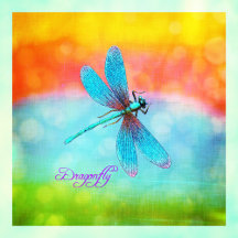 Butterflies & Dragonflies