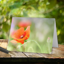 Floral Note Card Packs