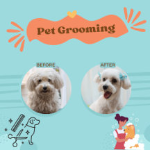 Paws & Chuckles Pet Merchandise Collection