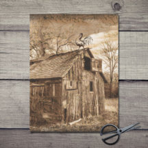 Farmhouse Barn Rustic Country Designs
