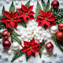 christmas gift ideas