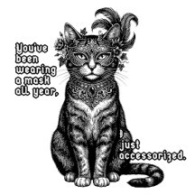 Masquerade Cat