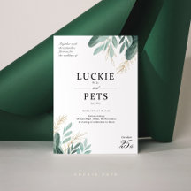 Everything Wedding and Pet