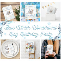  Blue Winter Wonderland Boy Birthday Party