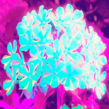 All Over Print Kitchen Aprons