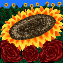 Sunflower and roses