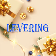 Levering_Name T-Shirt