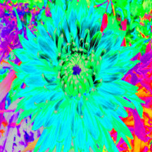 Aqua Cactus Dahlia Abstract Macro Flower