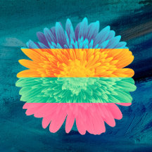 Colorful and colorized flowers