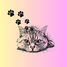 Back to School | Personalized School Supplies & St