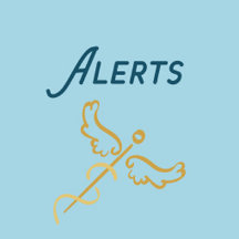 Medical Alerts