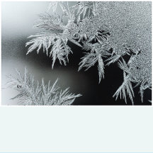 FROSTED WHITE Solid Color