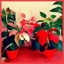 Classic Garden Floral Stationery Designs 