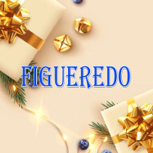 Figueredo_Name T-Shirt