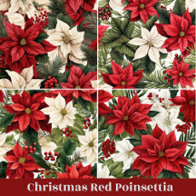 Classic Christmas Red and White Poinsettia Gift