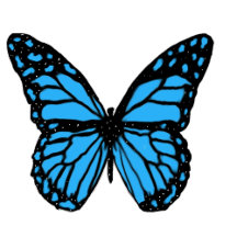 blue fantasy butterfly