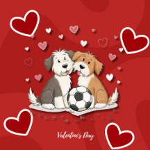 Bobtail  with soccer ball for Valentine's Day