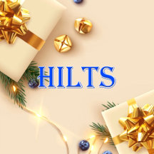 Hilts_Name T-Shirt