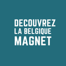 Villes Belges - Magnets