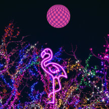 Flamingo at the dance party.