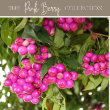 Pink Berry