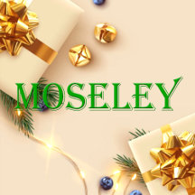 Moseley Name T-Shirt