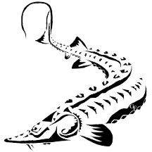 4 - Tribal Sturgeon - SHOVELNOSE - acigifts@yahoo