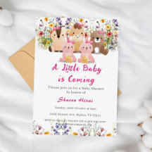 Baby Shower - Baby Animals & Wildflower Theme