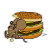 Scottmorton_info