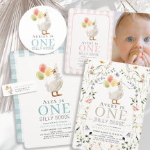 One Silly Goose Kids 1st/first Birthday